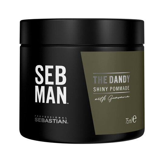 SEB MAN The Dandy Pomade mit leichtem halt und Glänzendem Finish 75 ml