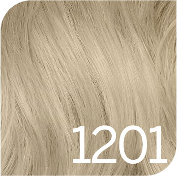 1201 Intense Blonde Natur Asch